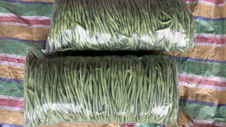 处理新鲜扁豆