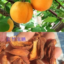 2020年新杏干，农家自产，口感酸甜，请放心购买