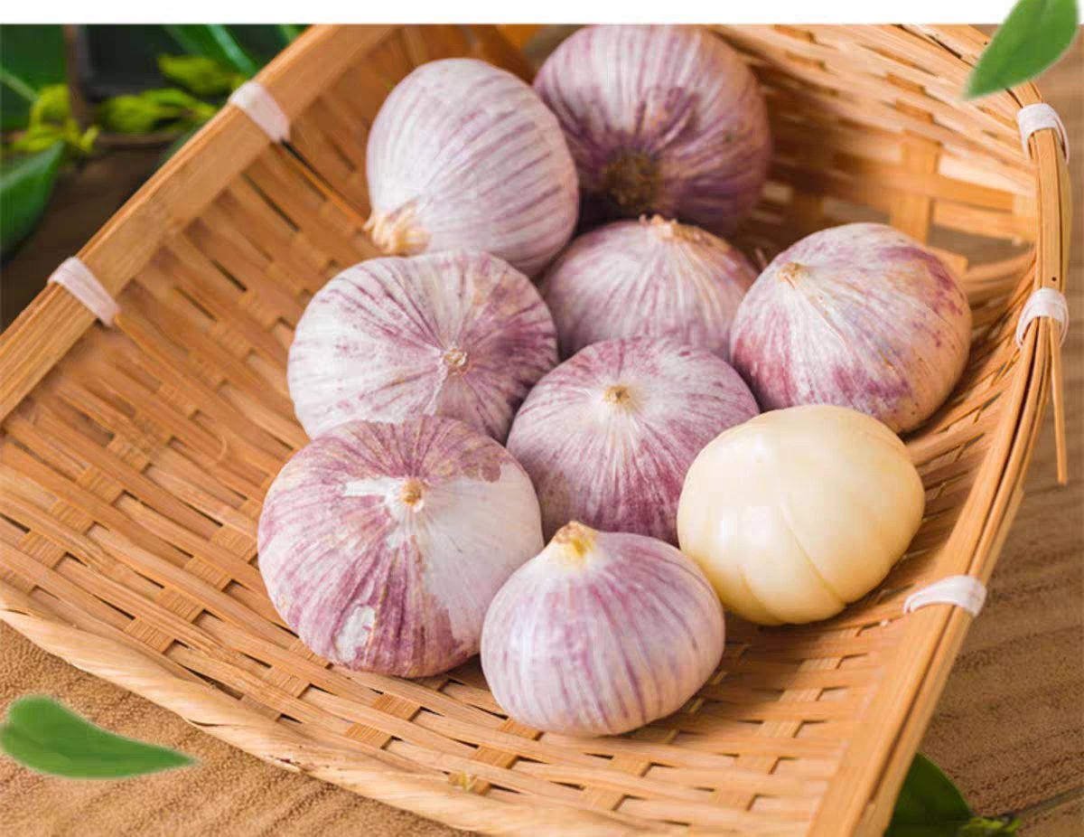 展示一个透明塑料罐中正在摇晃的独头蒜,外皮在摇晃中脱落,罐底可见剥落的蒜皮 瓶罐摇晃剥蒜过程