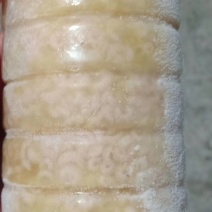 蜂皇胎（蜂王浆虫）包邮，量大从优