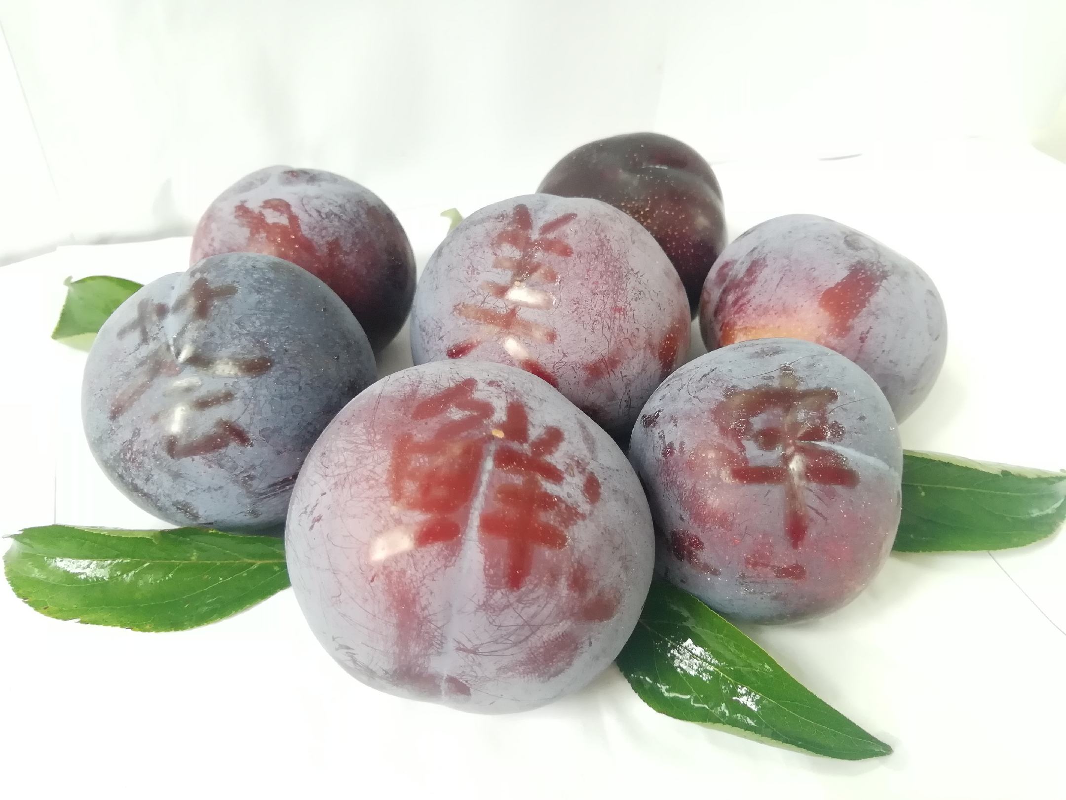 黑布林李子特写