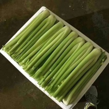 高原夏菜颜色正质量保证诚信第一有需要的老板联系我