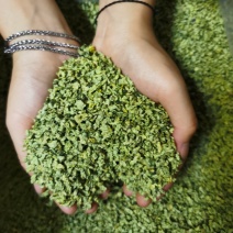 荷叶茶
