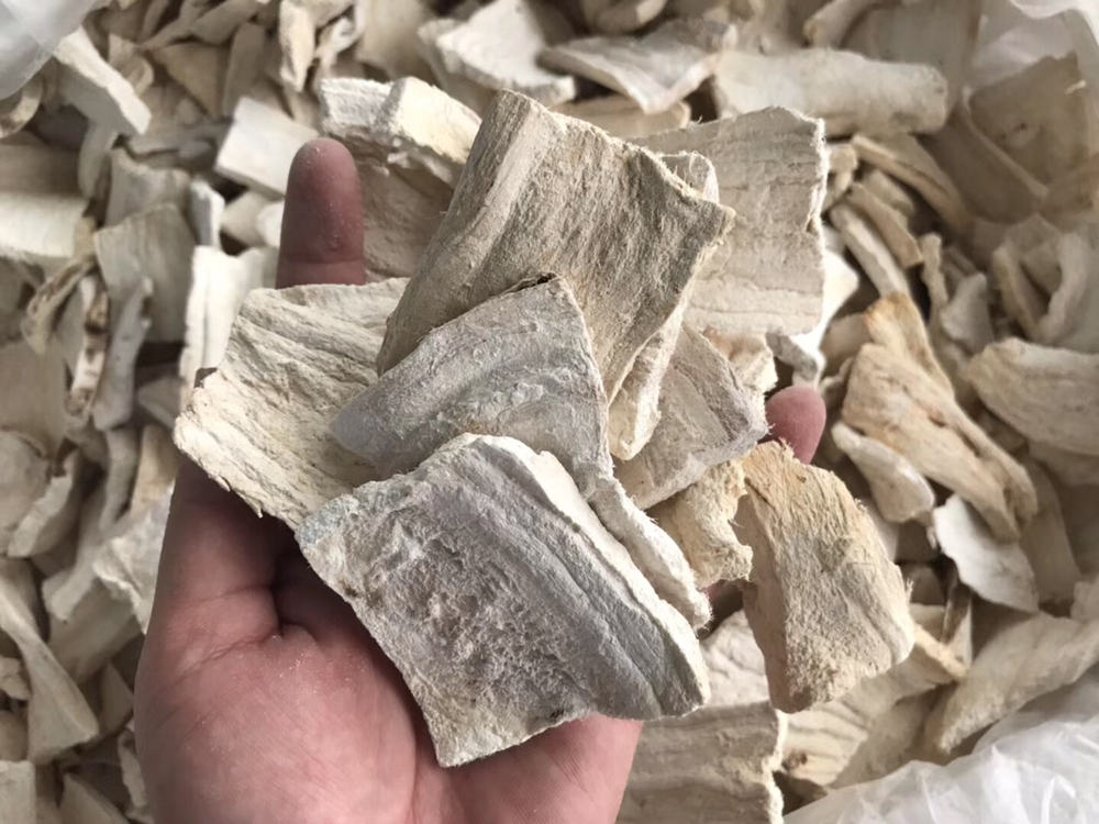 葛根与桂枝搭配的中药材图