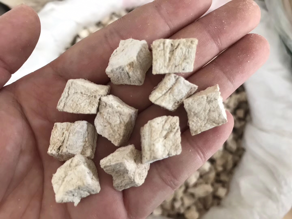 葛根灵芝片对心血管系统的保护机制图解