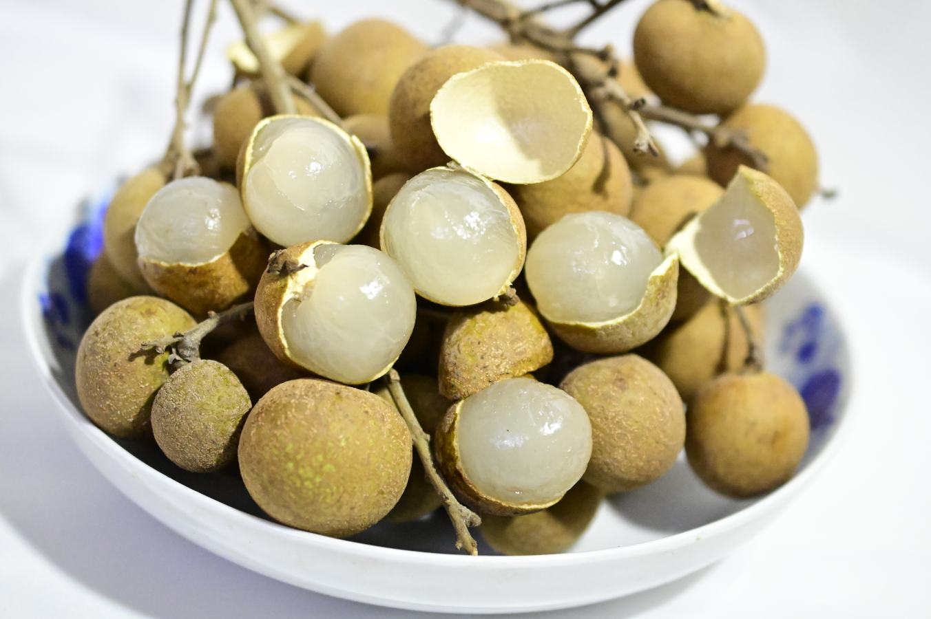 储良龙眼与普通龙眼对比图