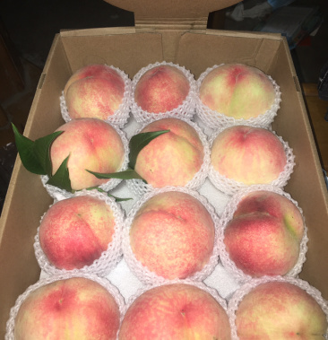 [批发]湖景蜜露水蜜桃价格5.00元/斤 - 一亩田