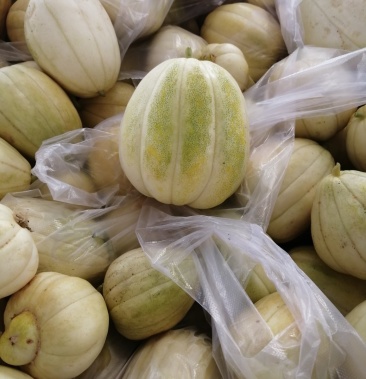 [甜瓜批发]白莲脆香瓜价格0.70元/斤 - 一亩田