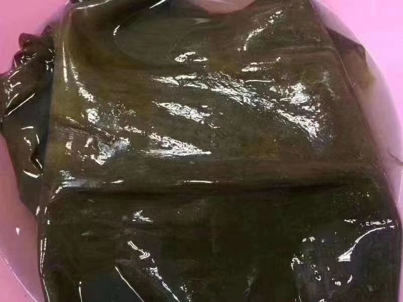 新鲜海带在水中漂浮,表面带有自然光泽,呈现出深绿色与褐色交织的纹理 海带特写图