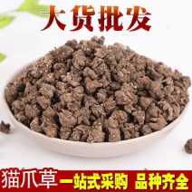 猫爪草全干猫爪草规格齐全产地一手货源可供大货
