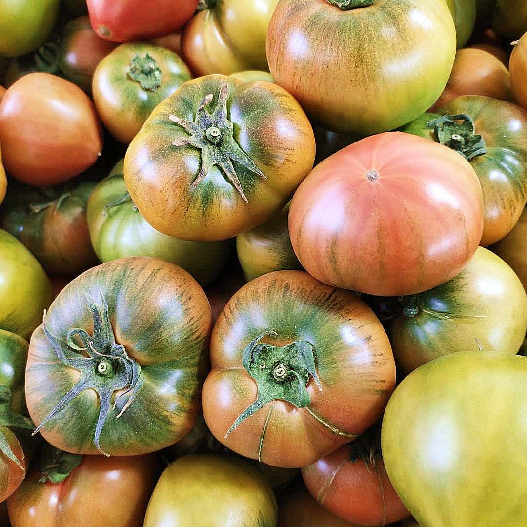 丹东铁皮柿子碱地柿子番茄绿腚丹东油柿子新鲜盘锦西红柿包邮