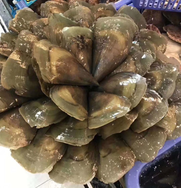 广州黄沙市场佳记带子