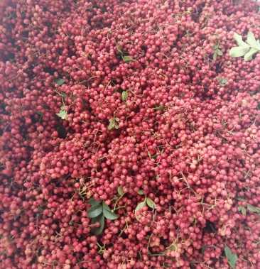 [花椒批发]汉源贡椒 湿花椒价格20.00元/斤 - 一亩田