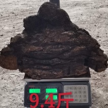 俄罗斯西伯利亚原包货，九斤以上大块