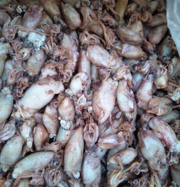 水兔干 干净 无沙干度正好