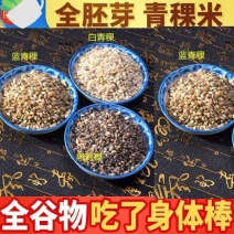青稞米青藏四宝之一青稞米五谷杂粮青稞米5斤装包邮