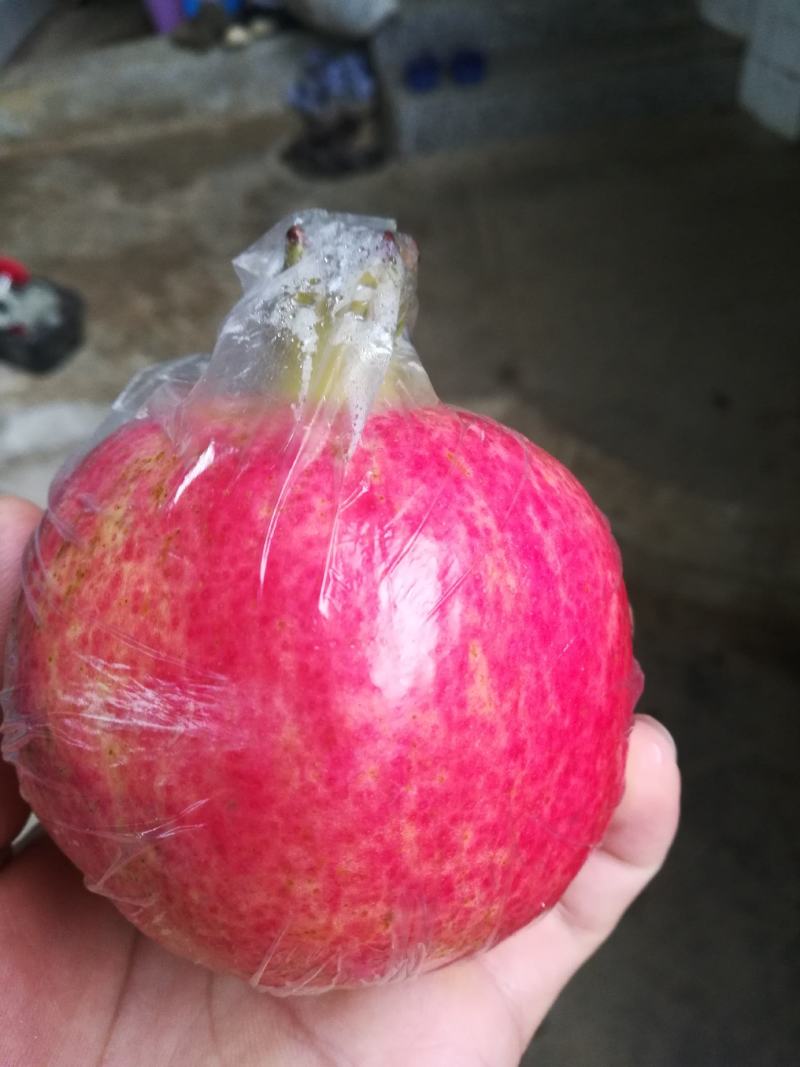 来自云贵高原红宝石石榴五两精品皮溥汁多