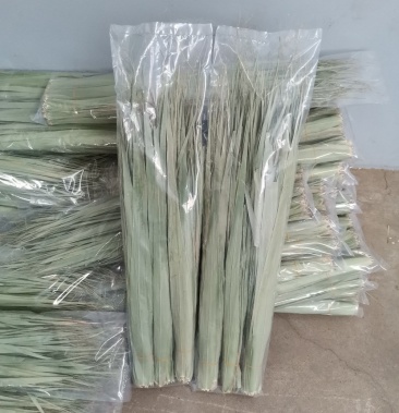 [苇叶批发]鲜芦苇叶,干叶价格3.00元/棵 - 一亩田