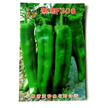 萧新308辣椒种子(早熟果实粗长牛角型产量高)