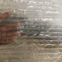 山东泰安纯手工绿豆粉皮农家特产