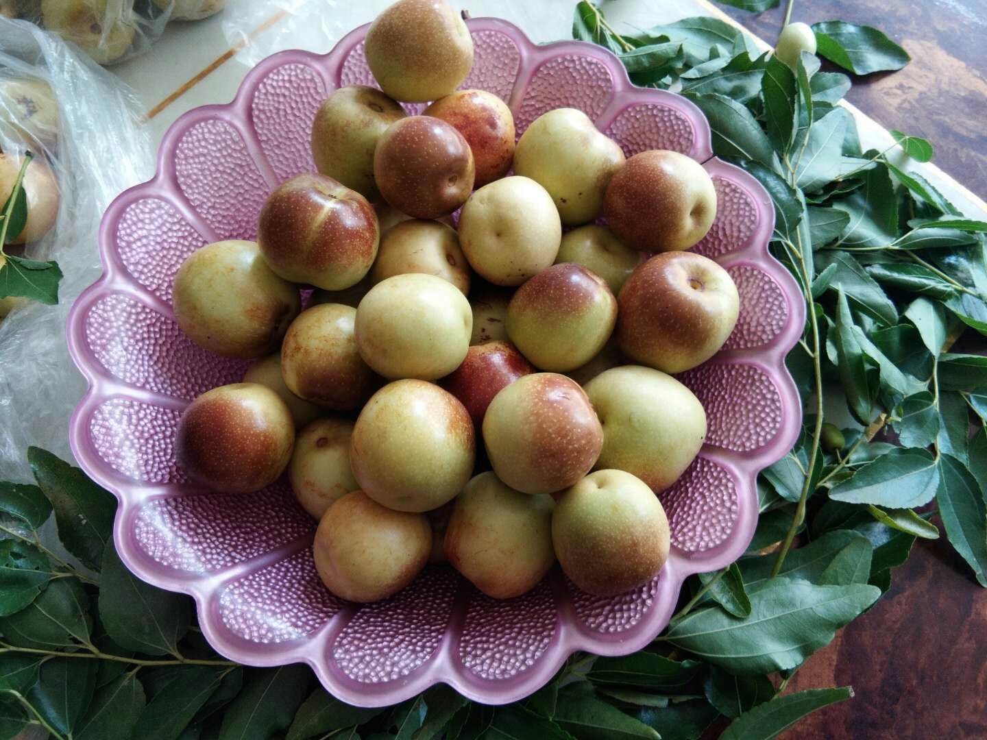 一盘刚从树上采摘下来的新鲜冬枣,果实圆润饱满,表皮青红相间,阳光照射下呈现出晶莹剔透的质感,旁边配有剪刀和绿叶,展示出自然采摘场景 新鲜采摘的冬枣特写