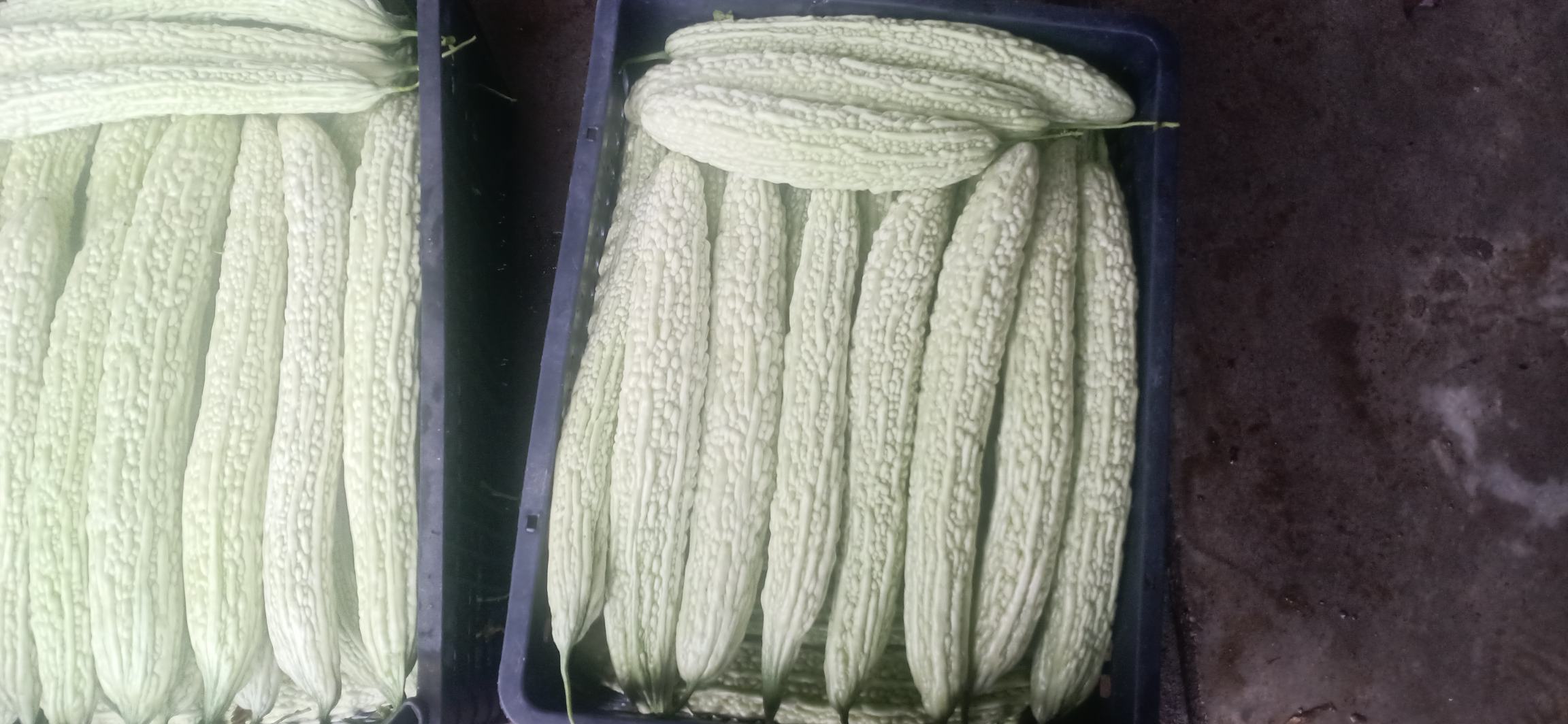 新鲜胡萝卜与苦瓜准备榨汁 胡萝卜与苦瓜榨汁