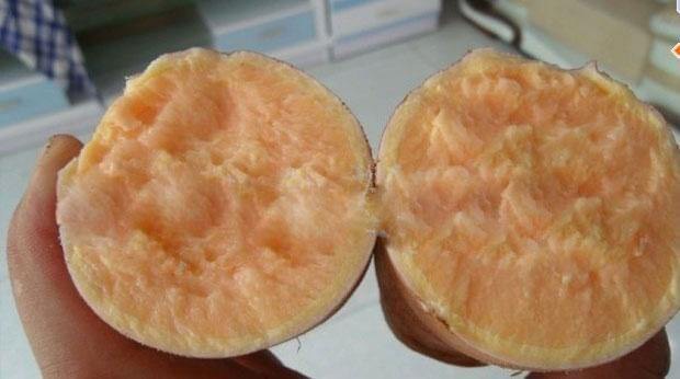 龙九薯地瓜切开特写展示内部色泽