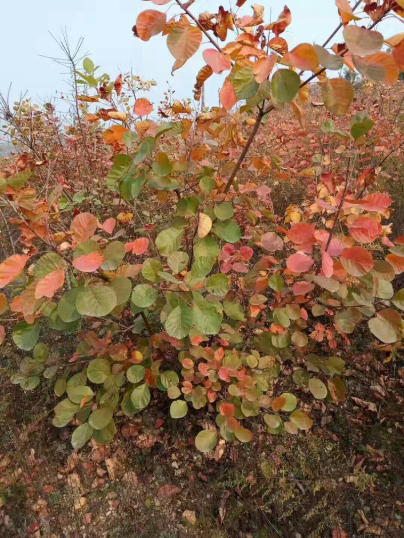 当前产地热卖产品