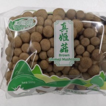新鲜蟹味菇各种包装各种规格山东地区诚招代理