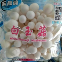 白玉菇各种包装各种规格山东地区诚招代理