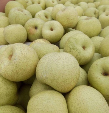 砀山梨甘甜润喉