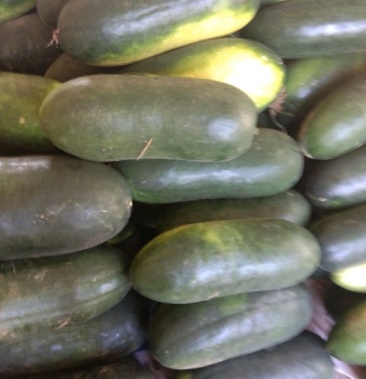 地冬瓜大量上市中,颜色亮