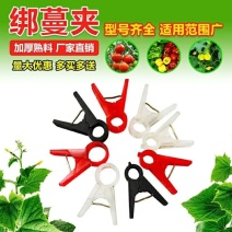 吊秧夹大棚蔬菜夹子黄瓜西红柿绑蔓夹吊蔓夹绑秧夹厂家直销