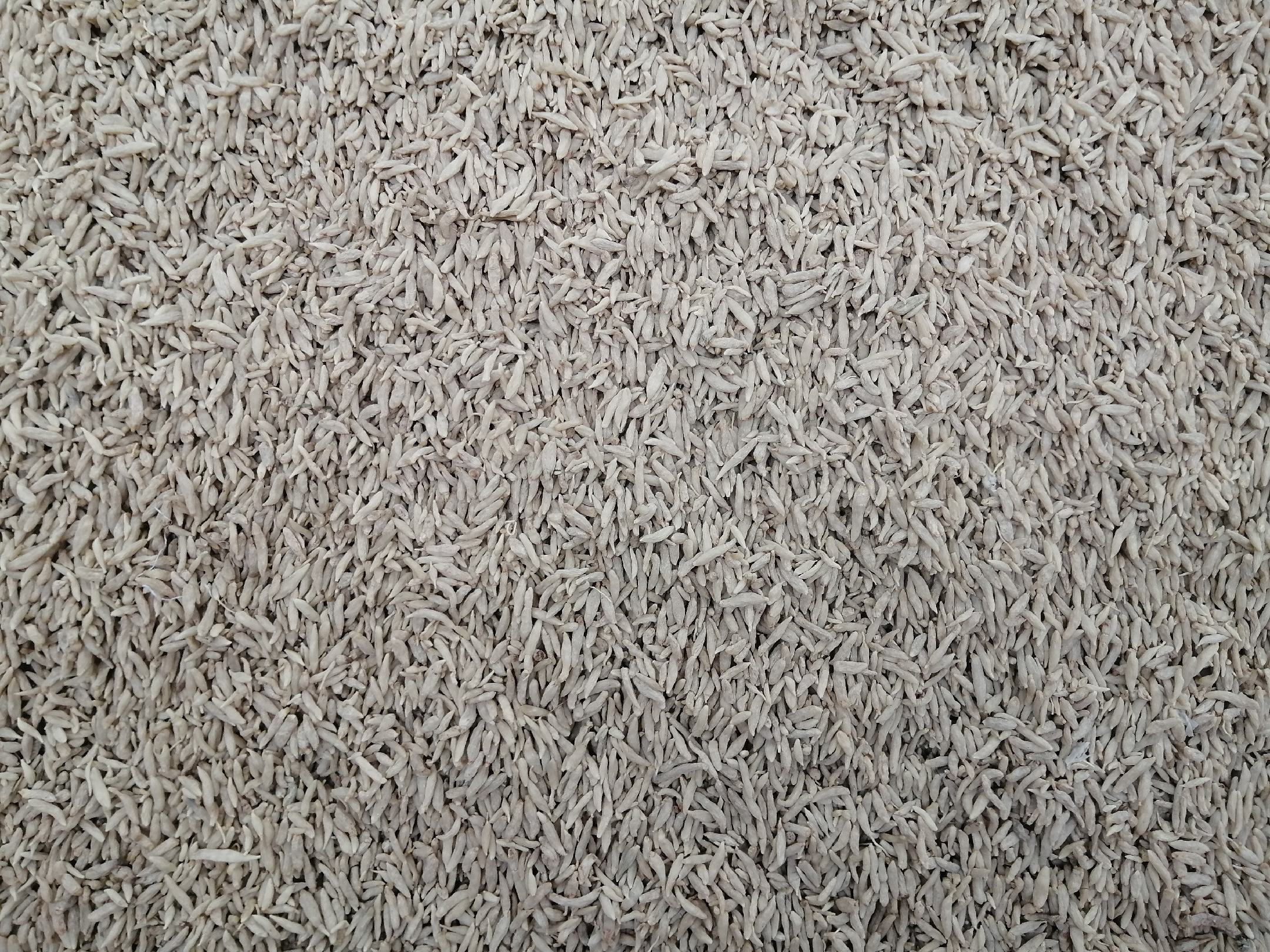 百合固金丸中药材组成示意图