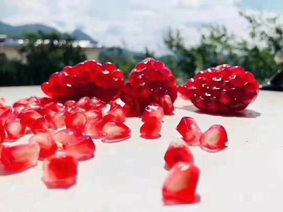 会理市石榴节活动现场照片