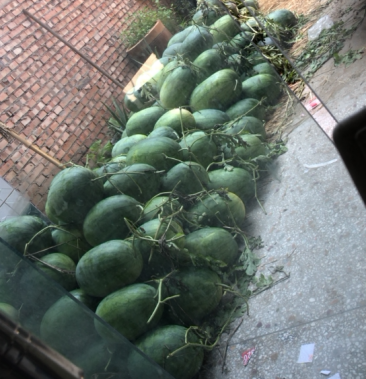 通许县龙卷风大量现货
