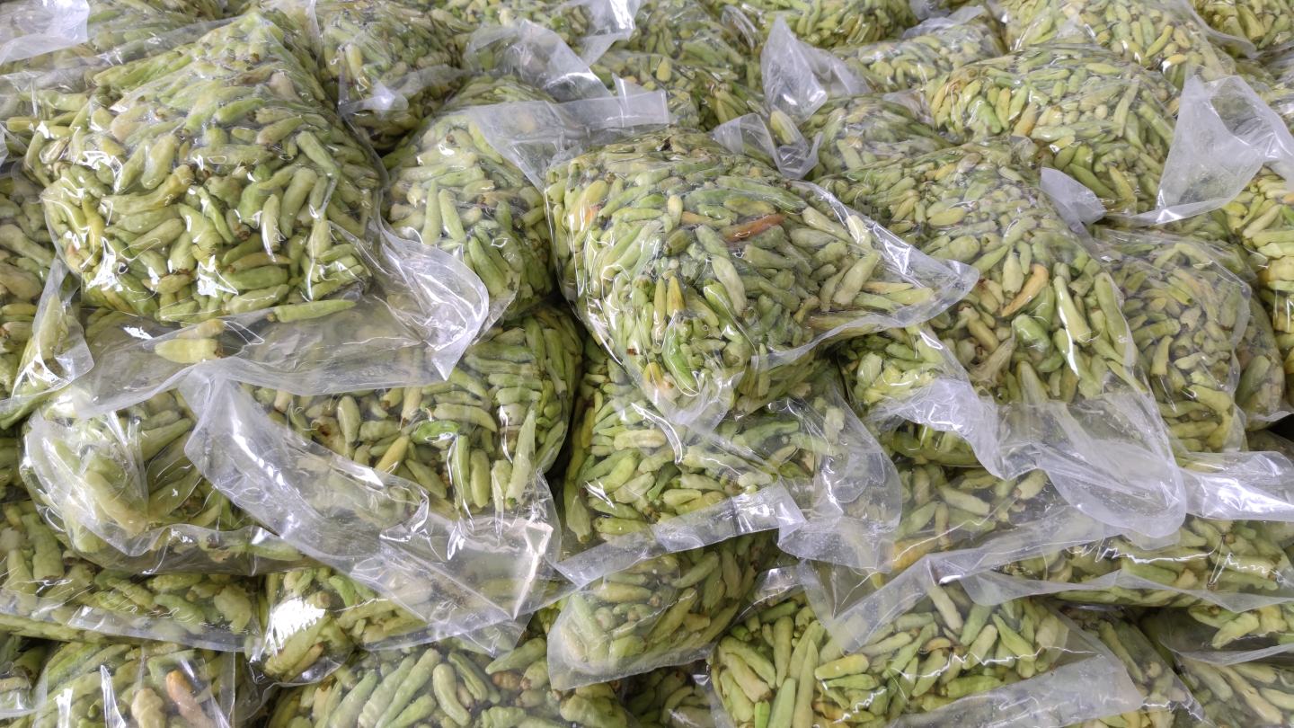 泡椒切段与萝卜片摆放在案板上,准备下一步调味 泡椒与萝卜处理图