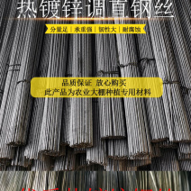 拱棚热镀锌调直钢丝热镀锌钢丝拱棚钢丝