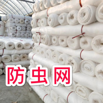 厂家直供：60目防虫网，果树专用防虫网罩