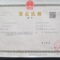 盱眙县仇集散养鸡自然树林鸡
