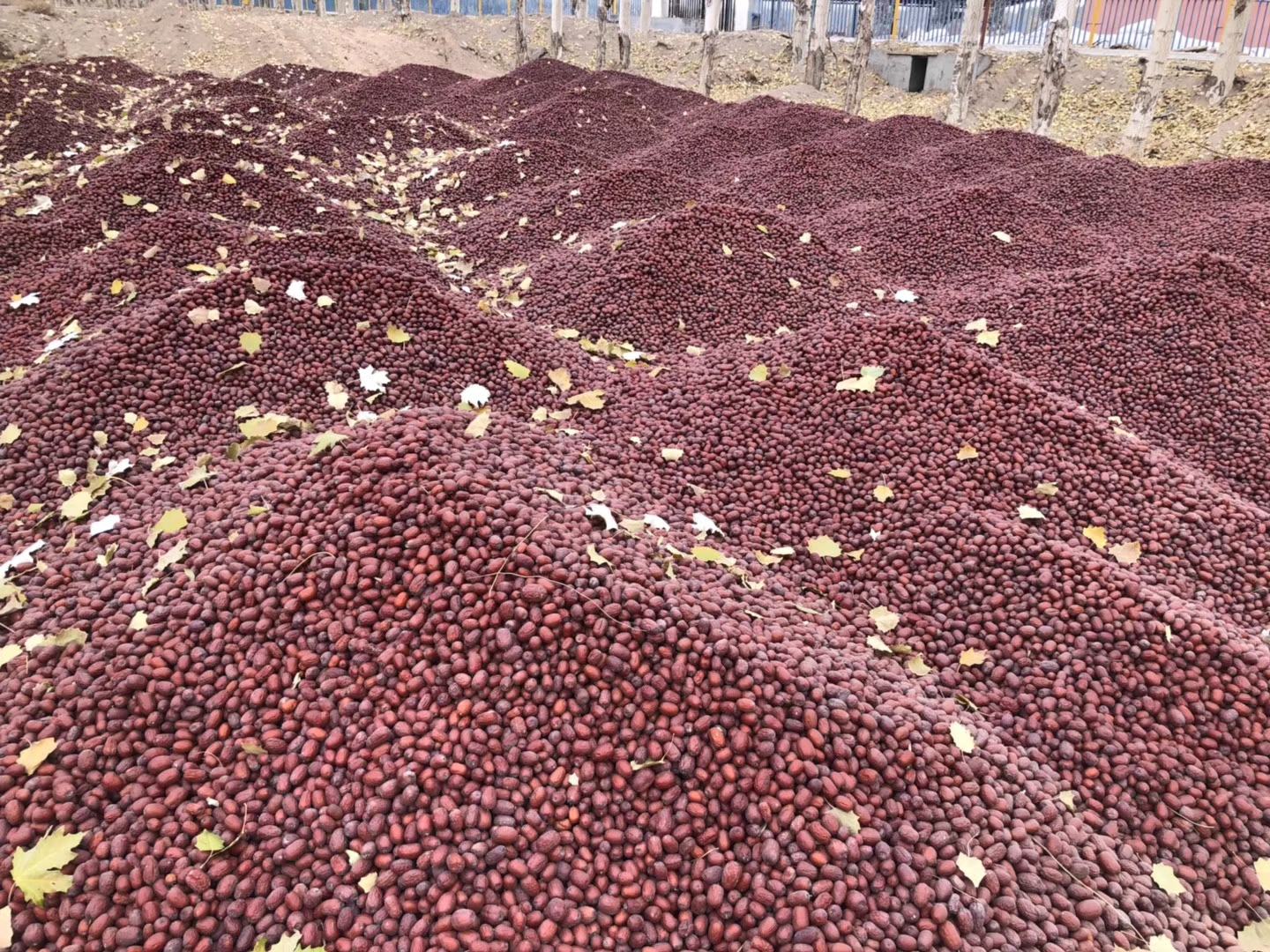 红映果酱与果干产品展示图,展示深加工产品的多样化应用 红映果酱与果干产品展示图