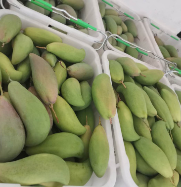 大象牙芒果,支持全国发货,8两起