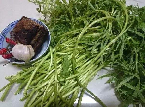 油麦菜和茼蒿的营养成分图表