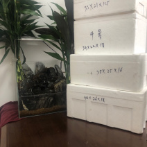 邮政泡沫箱蔬菜箱邮政3号4号5号6号7号8号