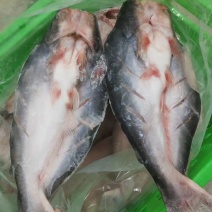 源晟泰品牌开背巴沙鱼，正关带票越南DL478工厂生产