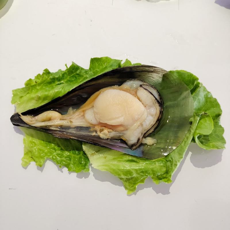 广东精品带子贝,一件起发.