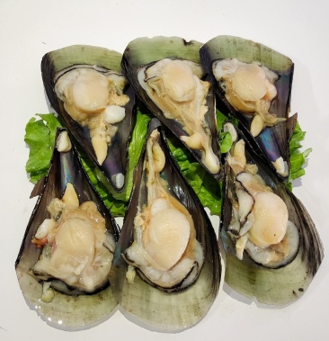 广东精品带子贝,一件起发.