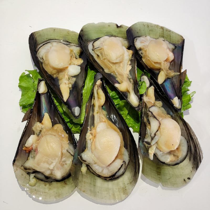 广东精品带子贝,一件起发.