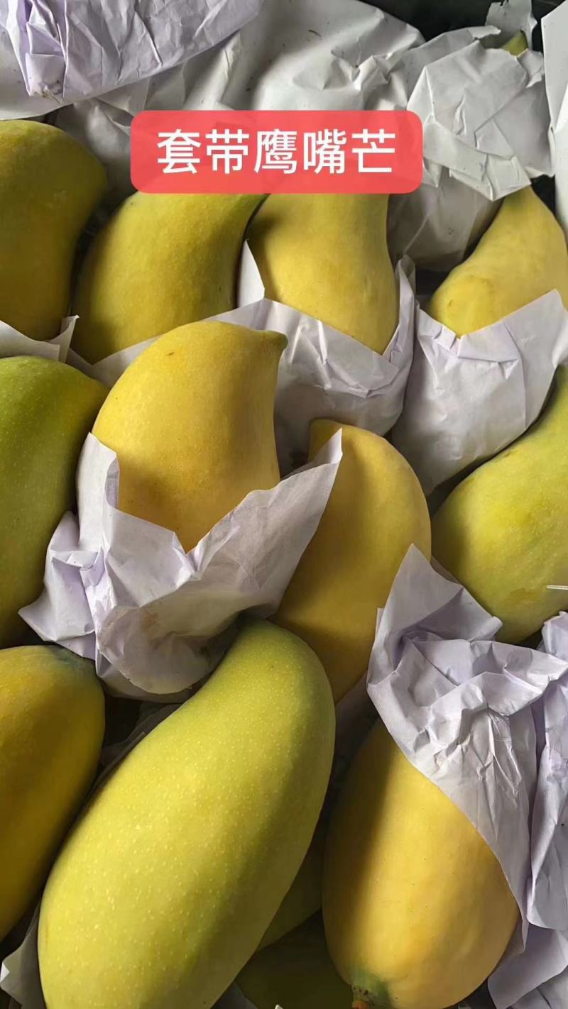 云南鹰嘴芒,口感好,品质佳