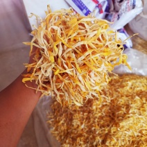 19年祁东金黄菜95干产地直销金针菜萱草黄花菜